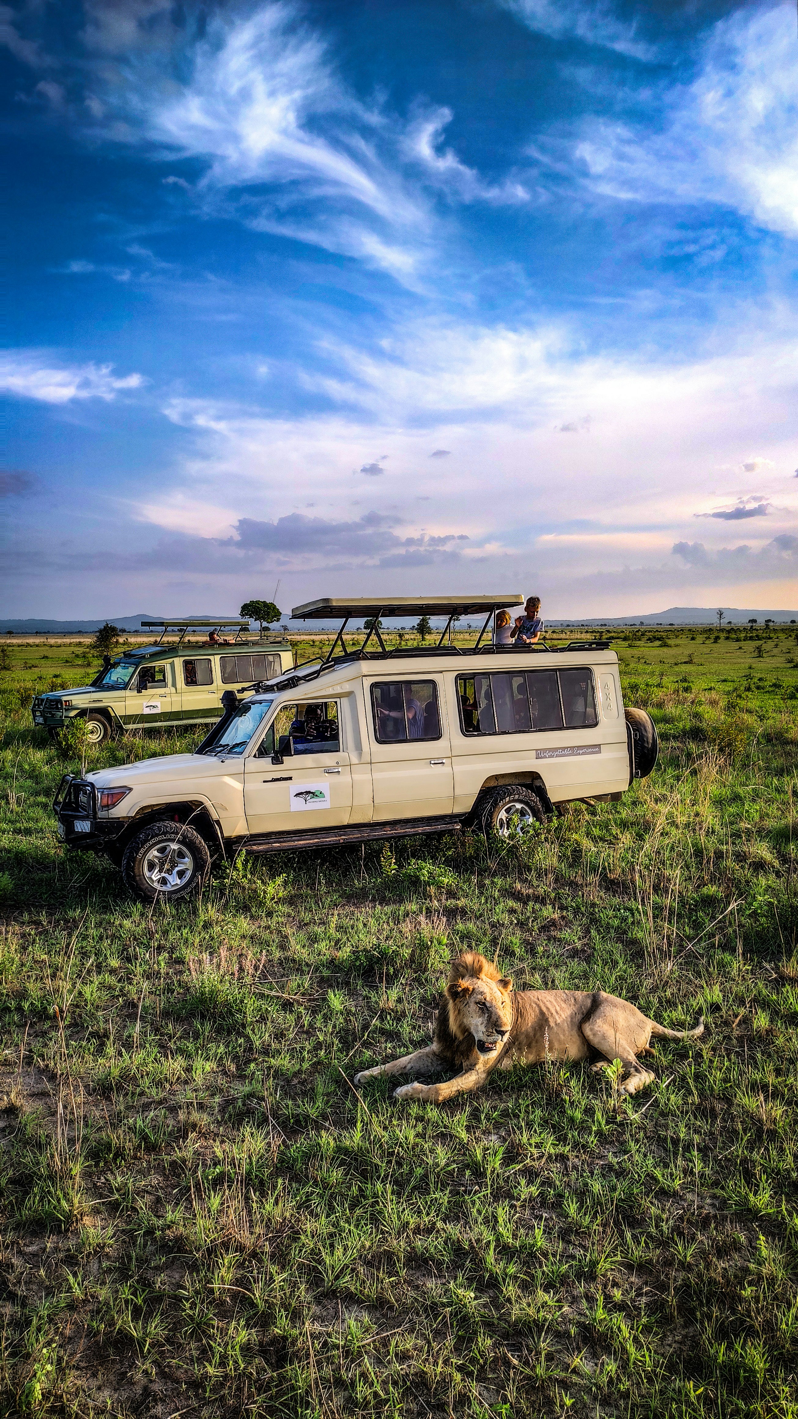 Tourism Business Consulting